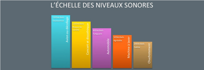 L'Echelle Des Niveaux Sonores